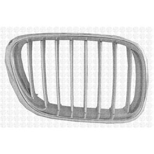 BMW BMW X5  GRILLE RIGHT (Passenger Side) (TITAN)(W/SPORT) OEM#51138250052 2000-2003 PL#BM1200155