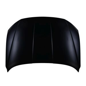HYUNDAI TUCSON HOOD **CAPA** OEM#66400HD000 2025 PL#HY1230193C