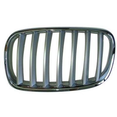 BMW BMW X5 GRILLE LEFT (Driver Side) CHR/SLV OEM#51137185223 2007-2010 PL#BM1200182